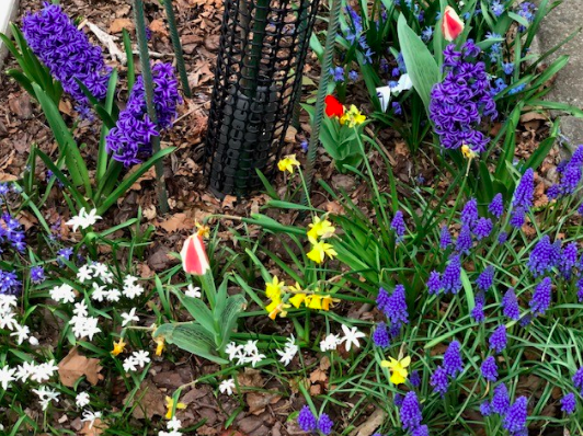 Brooklyn Flowers, Brooklyn Memories2